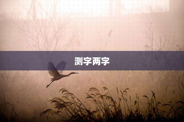 测字两字