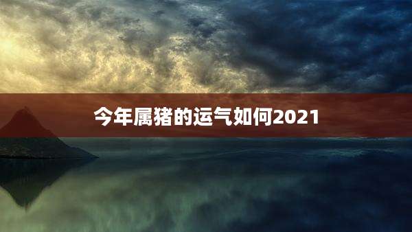 今年属猪的运气如何2021