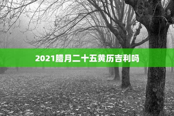 2021腊月二十五黄历吉利吗