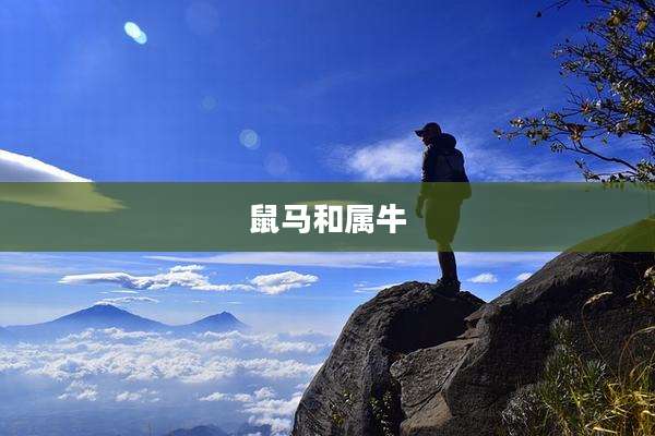 鼠马和属牛