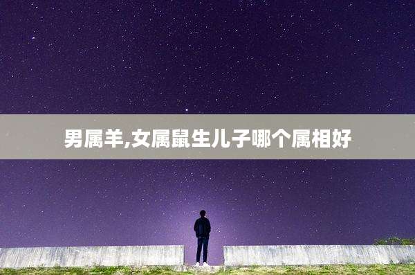 男属羊,女属鼠生儿子哪个属相好