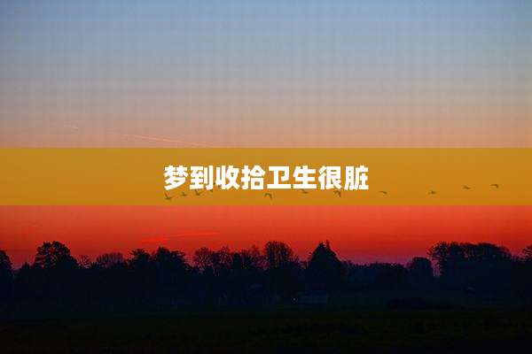 梦到收拾卫生很脏
