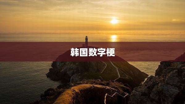 韩国数字梗