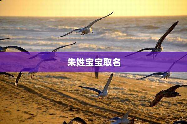 朱姓宝宝取名
