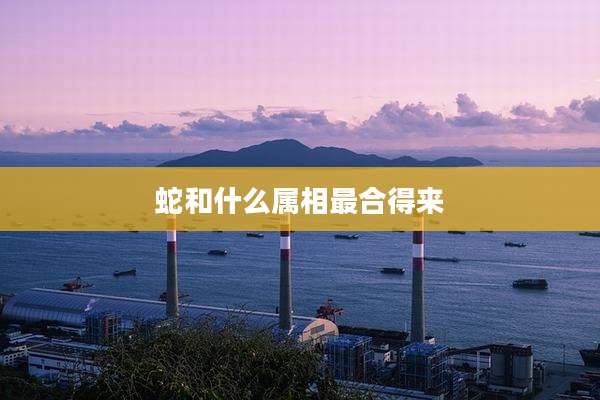 蛇和什么属相最合得来