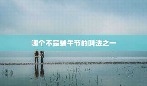 哪个不是端午节的叫法之一