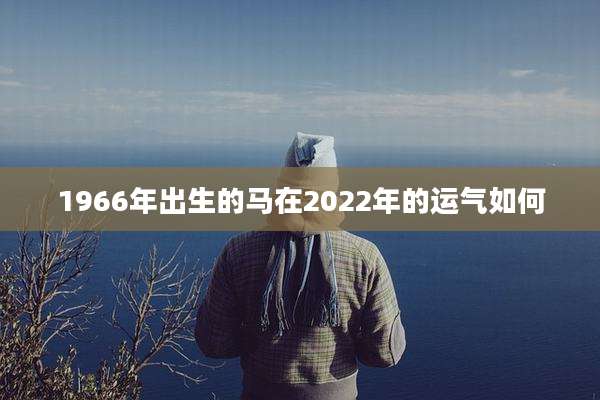 1966年出生的马在2022年的运气如何