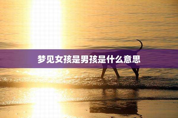 梦见女孩是男孩是什么意思