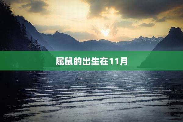 属鼠的出生在11月