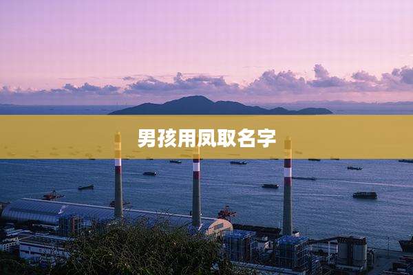 男孩用凤取名字
