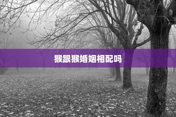 猴跟猴婚姻相配吗