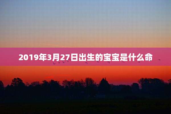 2019年3月27日出生的宝宝是什么命