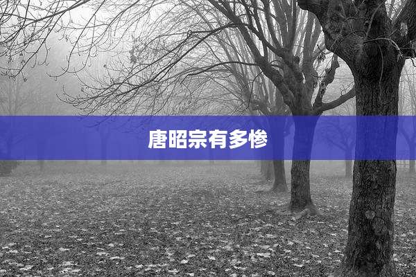 唐昭宗有多惨