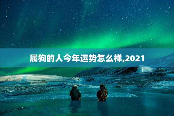 属狗的人今年运势怎么样,2021