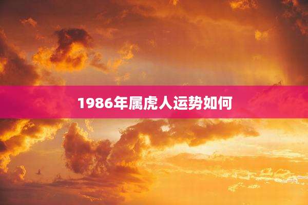 1986年属虎人运势如何