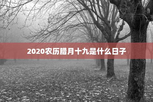 2020农历腊月十九是什么日子