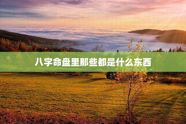 八字命盘里那些都是什么东西
