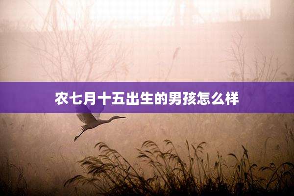 农七月十五出生的男孩怎么样