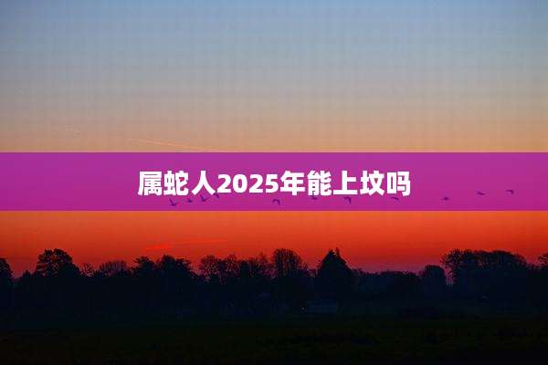属蛇人2025年能上坟吗