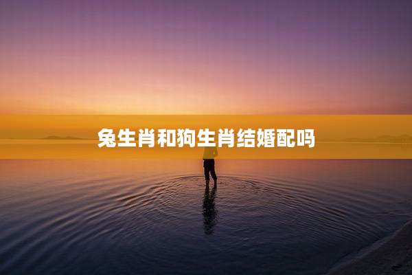 兔生肖和狗生肖结婚配吗