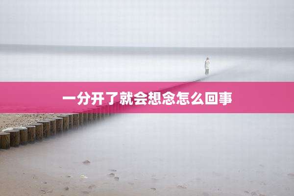 一分开了就会想念怎么回事