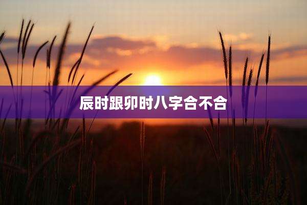 辰时跟卯时八字合不合