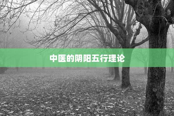 中医的阴阳五行理论