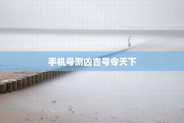 手机号测凶吉号令天下