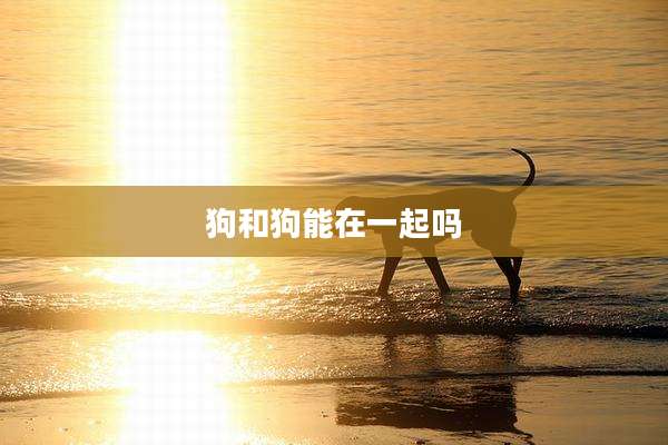 狗和狗能在一起吗