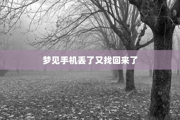 梦见手机丢了又找回来了