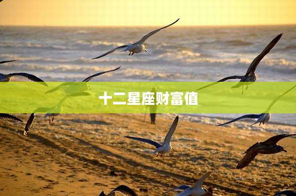 十二星座财富值