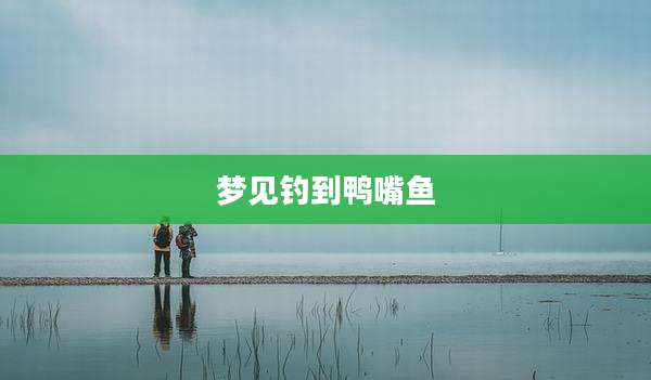 梦见钓到鸭嘴鱼