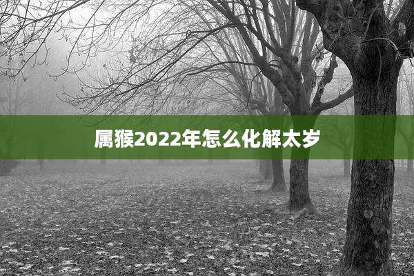 属猴2022年怎么化解太岁