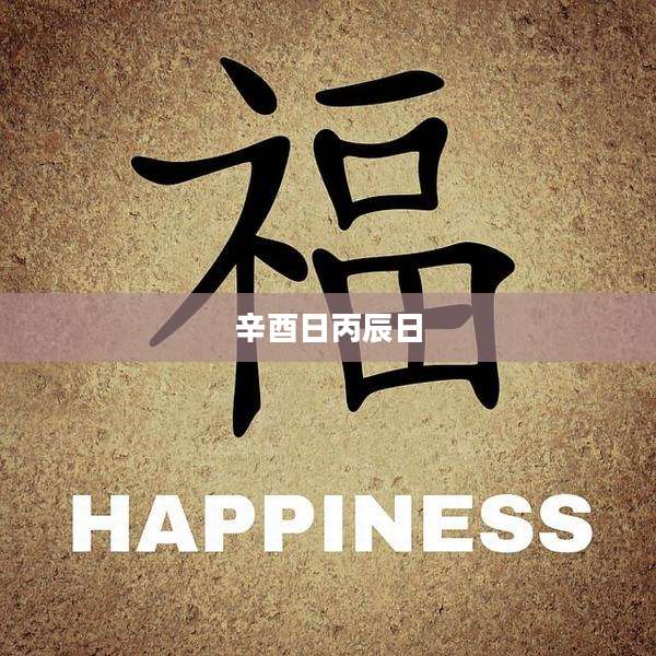辛酉日丙辰日