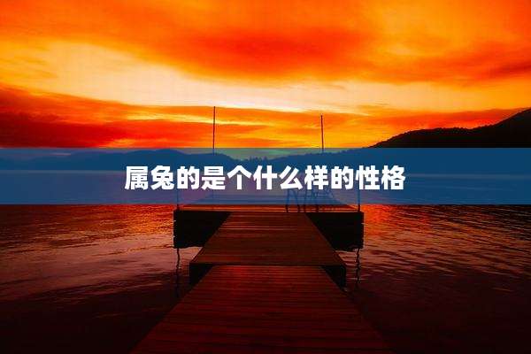 属兔的是个什么样的性格