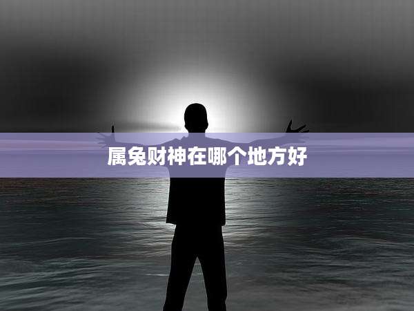 属兔财神在哪个地方好