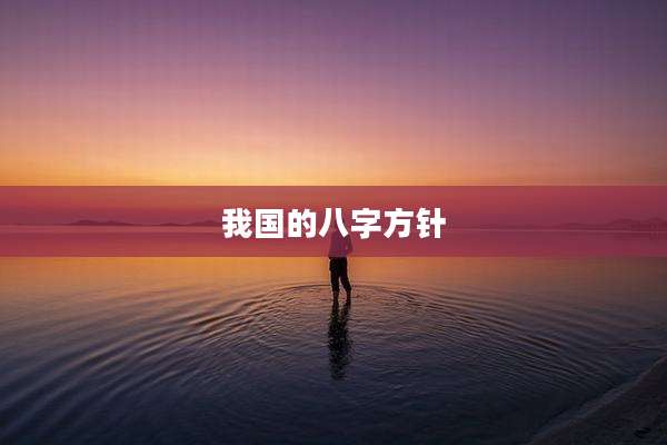 我国的八字方针