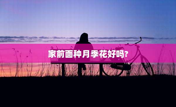 家前面种月季花好吗?