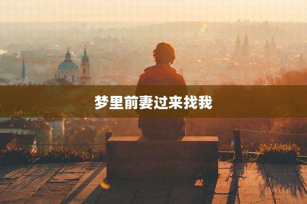 梦里前妻过来找我