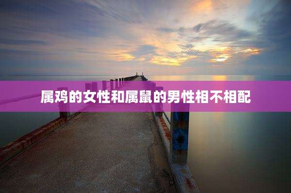 属鸡的女性和属鼠的男性相不相配
