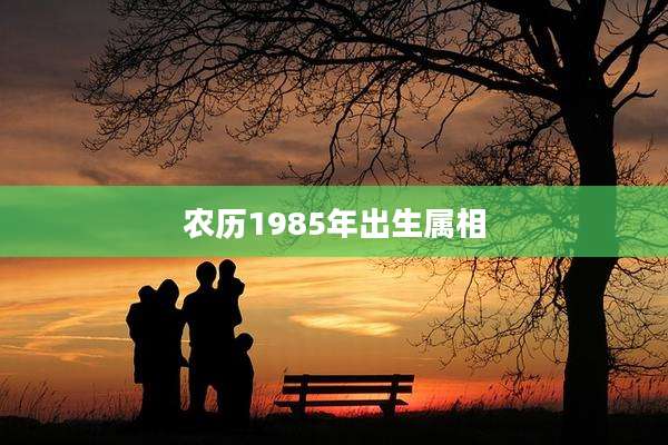 农历1985年出生属相