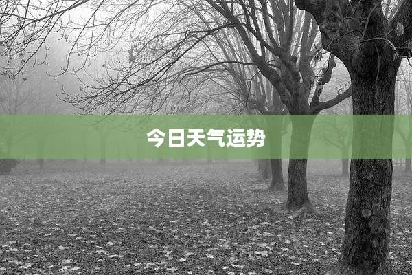 今日天气运势