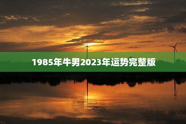 1985年牛男2023年运势完整版