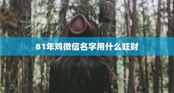 81年鸡微信名字用什么旺财