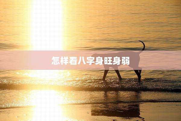 怎样看八字身旺身弱