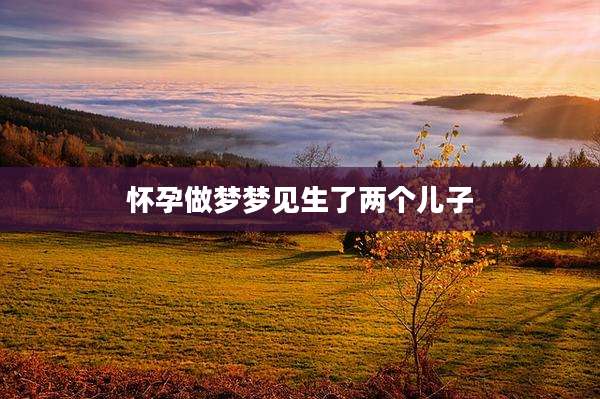 怀孕做梦梦见生了两个儿子