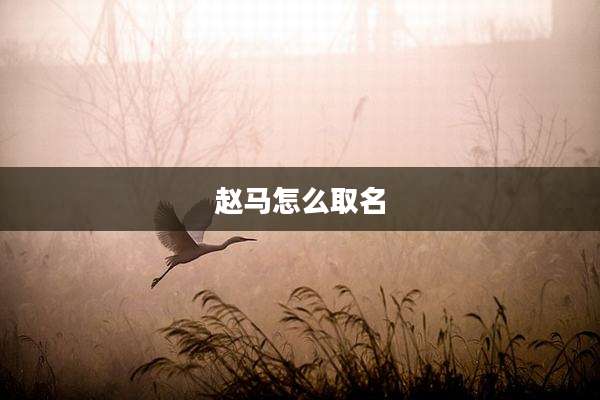赵马怎么取名