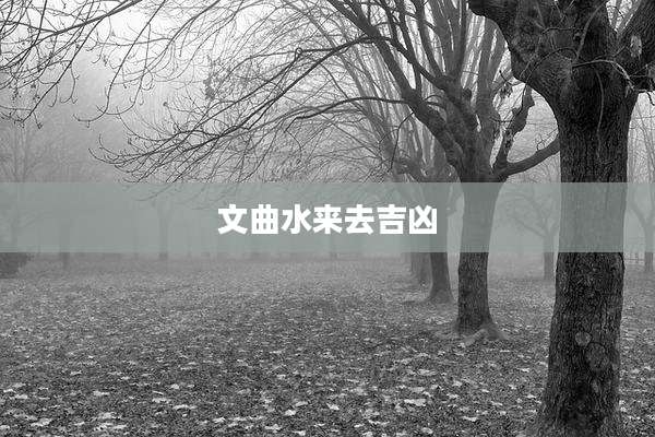 文曲水来去吉凶