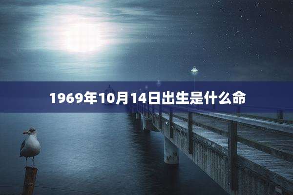 1969年10月14日出生是什么命