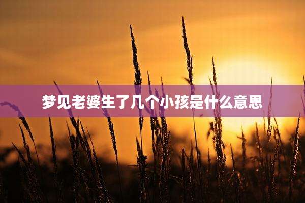 梦见老婆生了几个小孩是什么意思